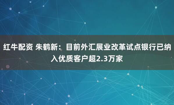 红牛配资 朱鹤新：目前外汇展业改革试点银行已纳入优质客户超2.3万家